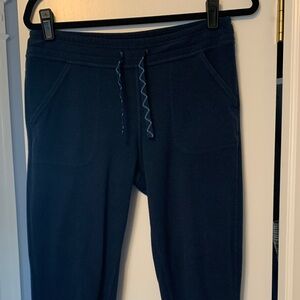 Patagonia Dark Blue Fleece Joggers